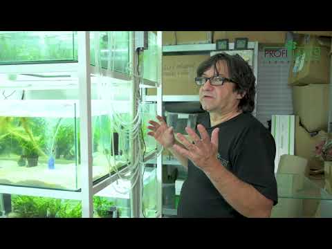 Video: Jak Vyrobit Ozonizátor