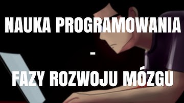 Nauka programowania - fazy rozwoju mózgu