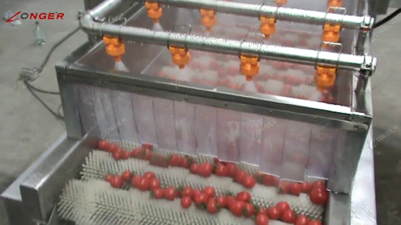 High efficiency Tomato Washing MachineAutomatic Tomato Cleaning