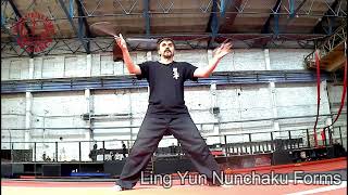 Ling Yun Nunchaku Forms