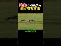 犬 vs 兎！地上最速の追いかけっこがヤバすぎる…