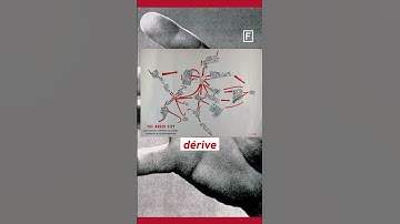 How maps apps are changing our brains | Part 2 | Frame