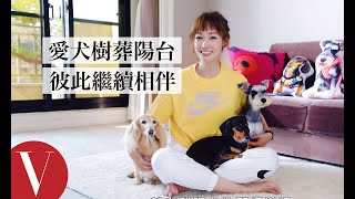 打開潘慧如衣櫃 親手打造三個毛小孩的幸福家｜VOGUE翻箱倒櫃