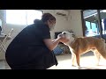 ママがいなくなってもパパがいるからね！