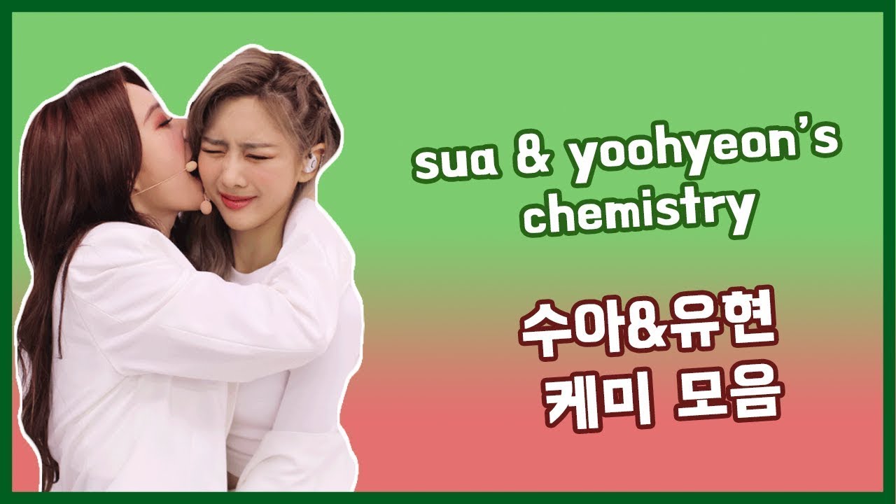 sua & yoohyeon's chemistry 드림캐쳐 수아&유현 케미 모음 🐥🐶