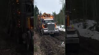 Amazing Kenworth Logging Truck Powered Through Mud Track loaded with wood #short #viral