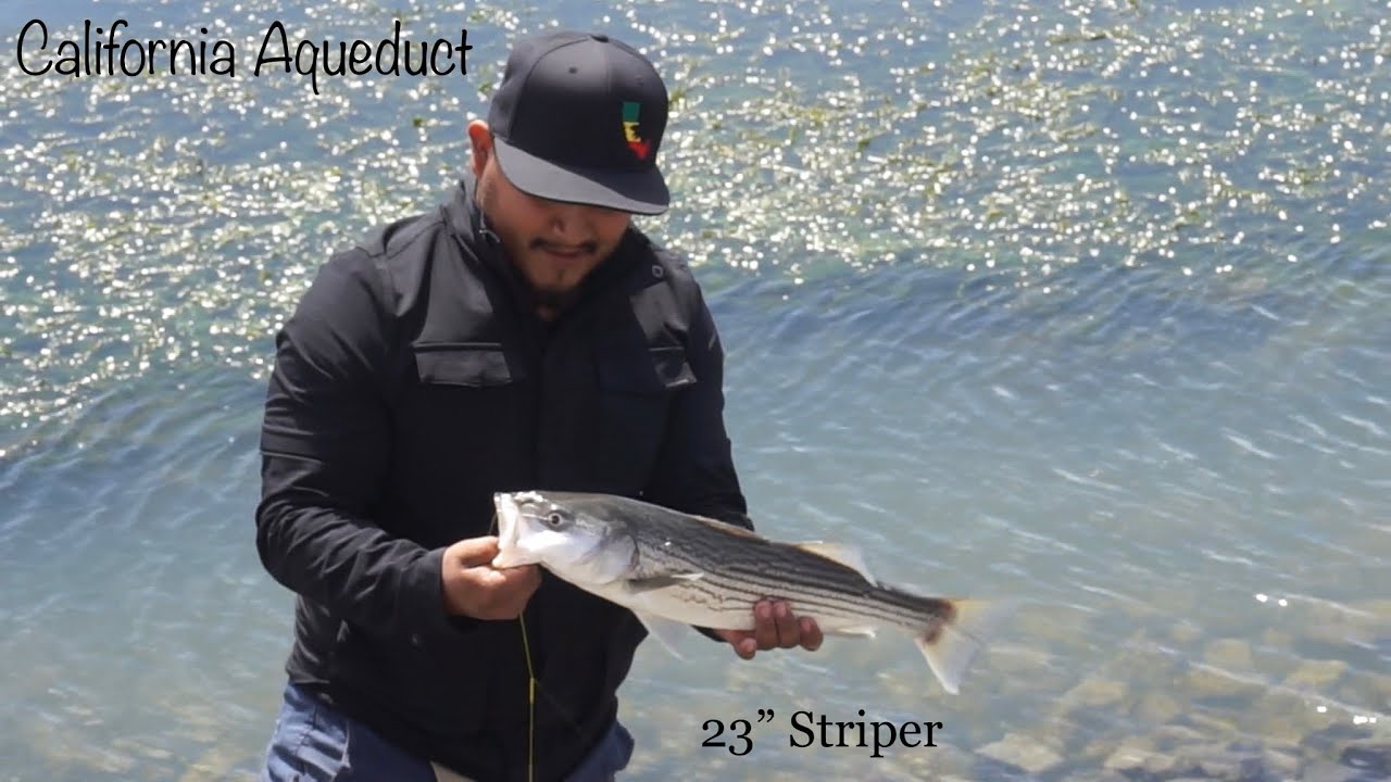 STRIPER FISHING CALIFORNIA AQUEDUCT YouTube