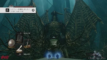竜のウロコ マラソン