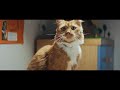 【YKK AP公式】2022 窓と猫の物語 「Graffiti」篇 30秒 Story of a window and a cat "Graffiti "