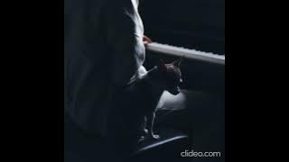 Idea 22 -Gibran Alcocer, 10 hours