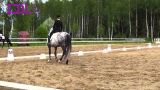 Iddl, 2015, 2Iq, Est, Psg, Dina Ellermann & Royal Pokemon