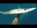 Barracuda June 2021
