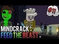 Mind***** Minecraft Laws S2E011