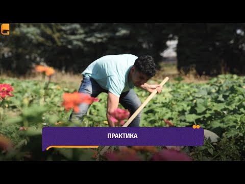 Практика в Германии