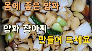 몸에좋은 양파 많이 드실려면 양파장아찌 만들어 드세요