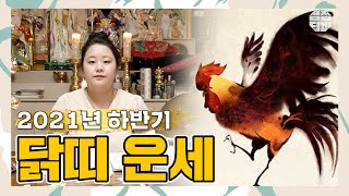(의정부점집)(띠별운세) 2021년 하반기 닭띠 운세!! (점점TV)