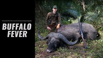 BUFFALO FEVER | EXCLUSIVELY ON MOTV.COM