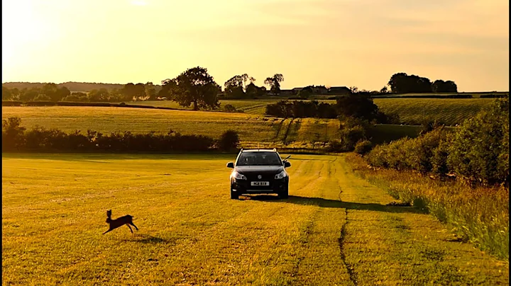 Rabbit Hunting With .22LR Using Subsonics | DNT ThermNight 335R
