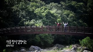 전국을 달린다 / KBS대전 20211012 방송 [다시보기]