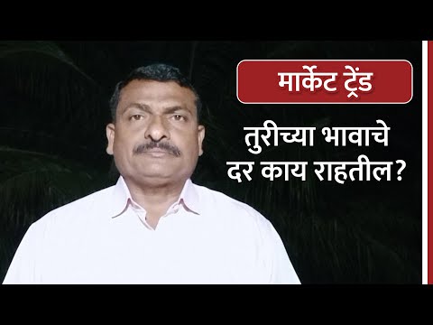 जाणून घ्या तूर बाजारभावाचा मार्केट ट्रेंड!  - जाणून घ्या तूर बाजारभावाचा मार्केट ट्रेंड! 