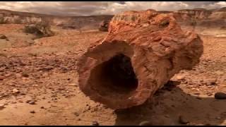 Bosque Petrificado / Petrified Forest - Patagonia Chubut