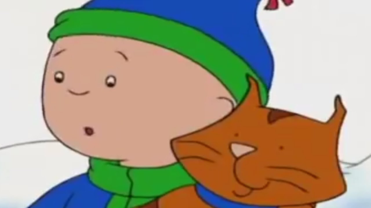 ⁣Dessin Animé | Caillou FRANÇAIS - La feuille | conte pour enfant | dessin animé complet