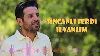 SİNCANLI FERDİ - İLVANLIM 2020 DECEK KAYIT Resimi