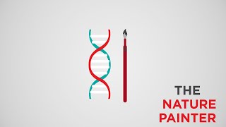 Successful College Essay Examples: The Nature Painter screenshot 4