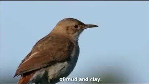 Excellent example of Creativity, Co operation, Plot selection, Designing, Execution,Safety  and prot