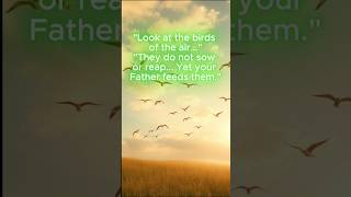 HOPE FOR THE WORRIED SOUL #facts #christianshorts #motivation #growyourfaith #wisemen #jesusfreak