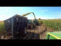 Chopping Corn Silage near Courtland Minnesota