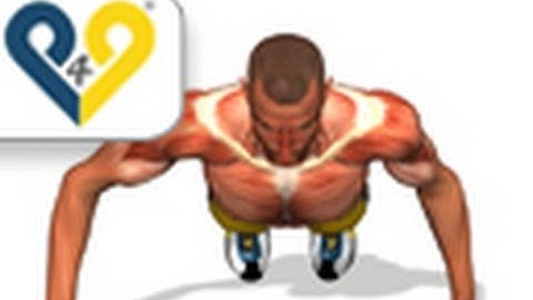 Spartan Push Up (300 workout)