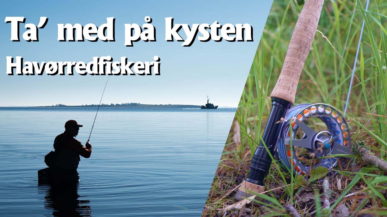 Mine tanker bag en havørred tur! - Ta’ med på kysten #1
