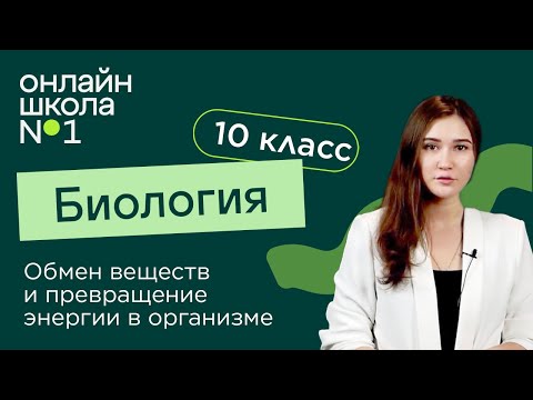 Обмен веществ и превращение энергии в организме. Биология 10 класс. Видеоурок 21