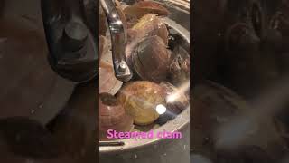 Steamed Clam