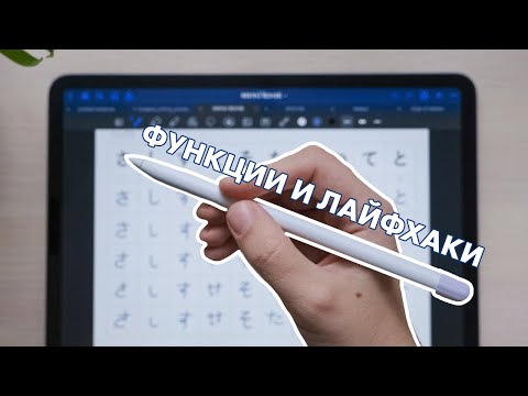 Что умеет Apple Pencil и как с ним работать?