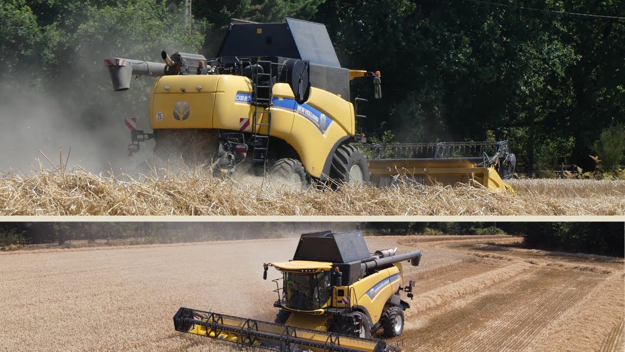 🌾😱Moisson 2022\New Holland CX 8.85 de 9.15 m de la Sarl David et Yvon