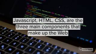 JavaScript vs Python, What's the Difference?