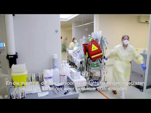 Video: Beoordeling Van Bed Tot Bed: Inzicht In De Impact Van Resistentie- En Virulentiefactoren Op Methicillineresistente Staphylococcus Aureus-infecties Op De Intensive Care