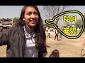 参观尼泊尔大学，遇到漂亮女大学生安妮，小美女很热情!—【尼泊尔 Nepal】