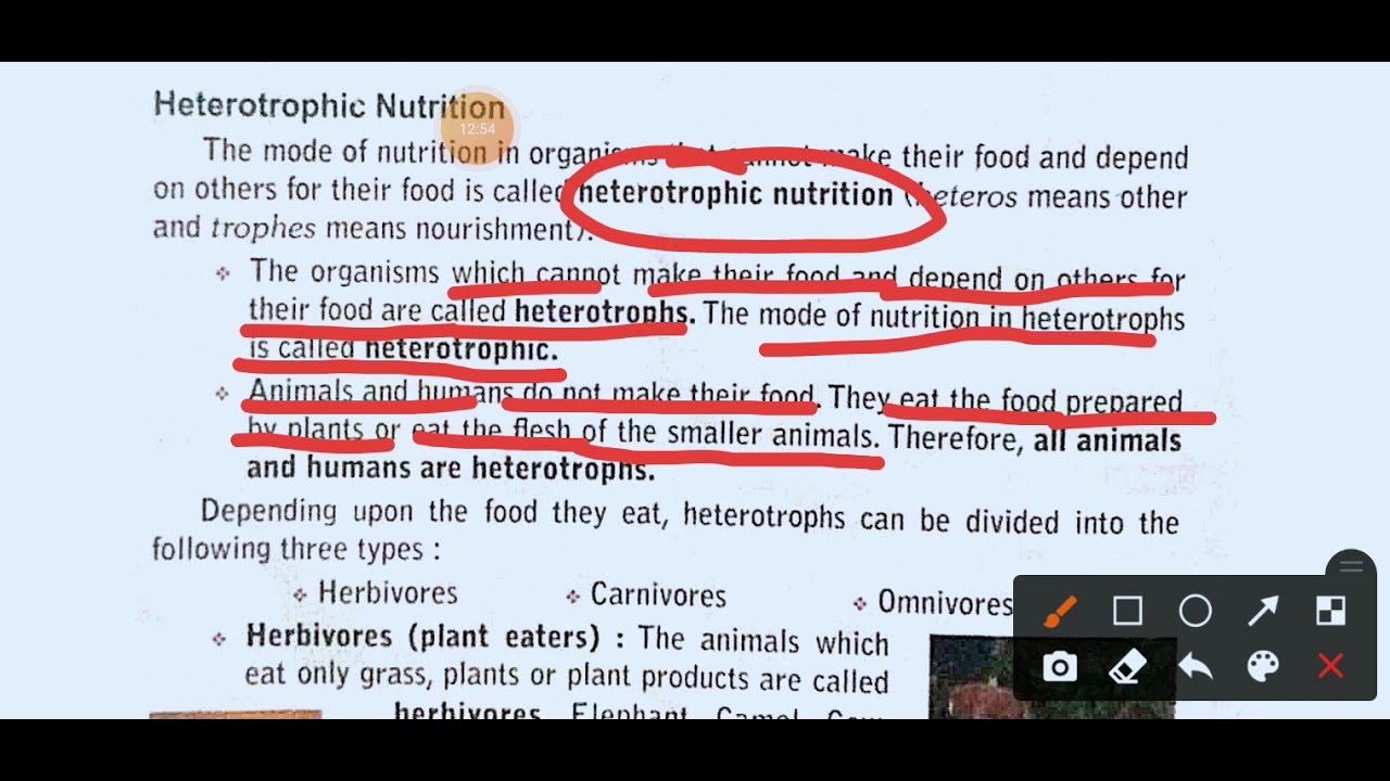 Science Class 7 Chapter 1 By Aravind Sir YouTube Science class 7 chapter 1 by aravind sir youtube