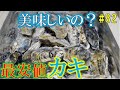 【カキかんかん焼き】楽天最安値のカキは美味しい？　自社製品と比較してみた！　取り寄せ#82