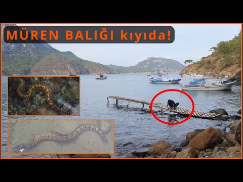 Balıkçı Koyu Adrasan | Kumluca Antalya