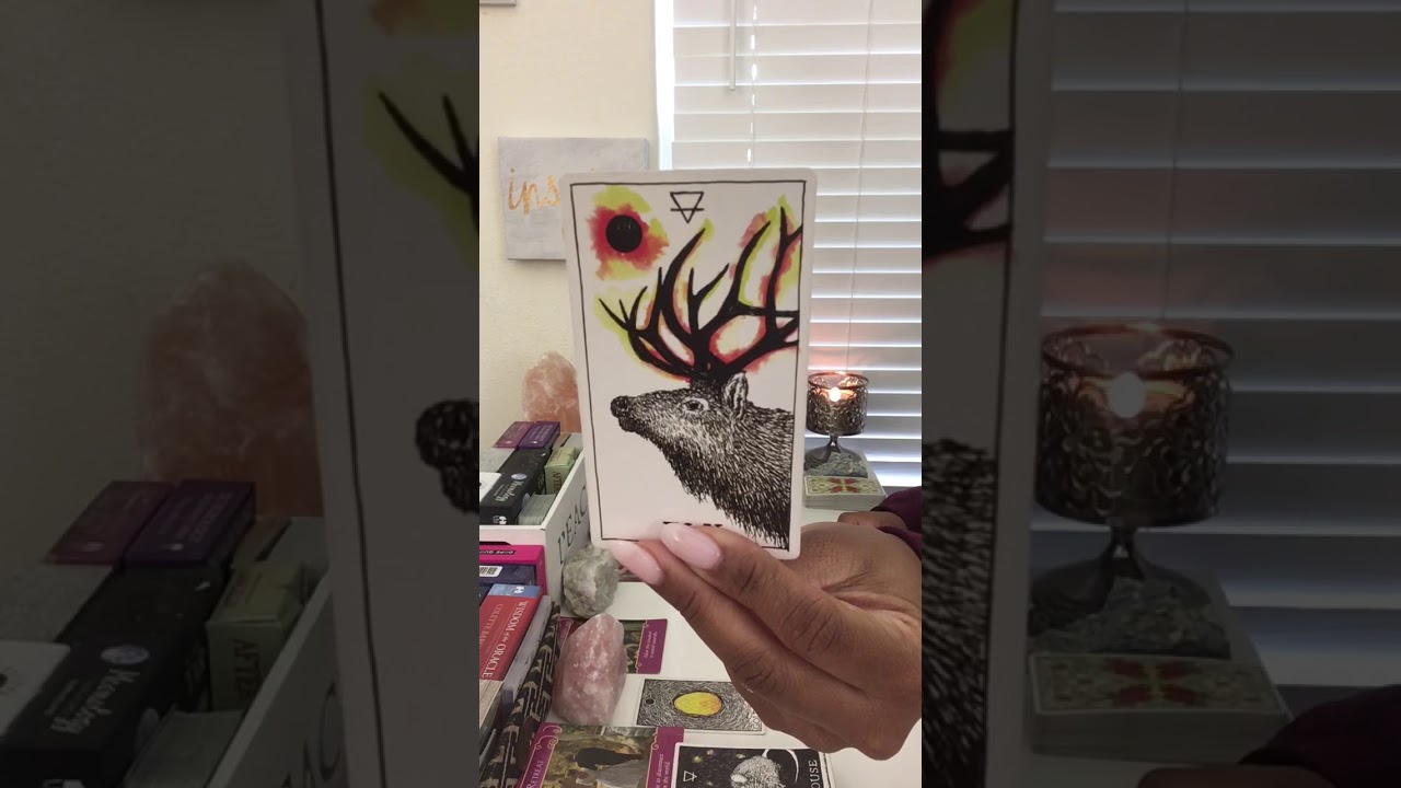 Virgo | The Soul Mate That Took Too Long | January Love Reading