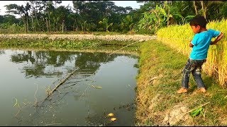 Download Best Fishing Video | Kids Fishing By Daily Village Life Part-18 Video MP3 Best Fishing Video | Kids Fishing By Daily Village Life Part-18