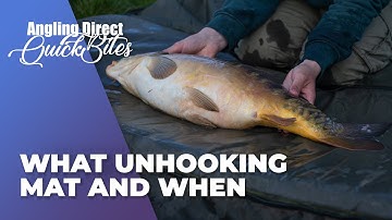 What Unhooking Mat And When - Carp Fishing Quickbite