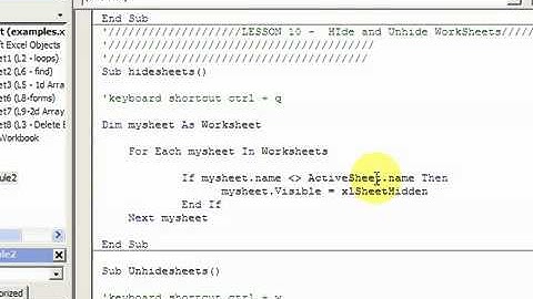 VBA Lesson 10   Hide and Unhide Worksheets with  Visible | Microsoft Excel Tutorials