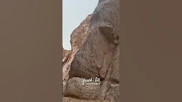 رح الة أردني يعبر درب البدو في سيناء سير ا على الأقدام Shortvideo Shorts Short 