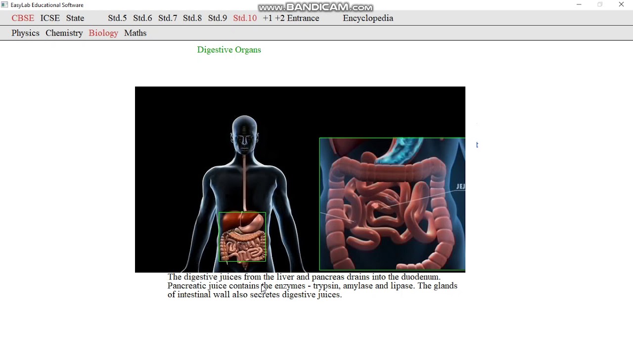 Syllabus based Educational Software