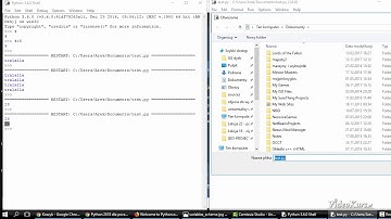 Python - czym są zmienne? Jak stworzyć skrypt?